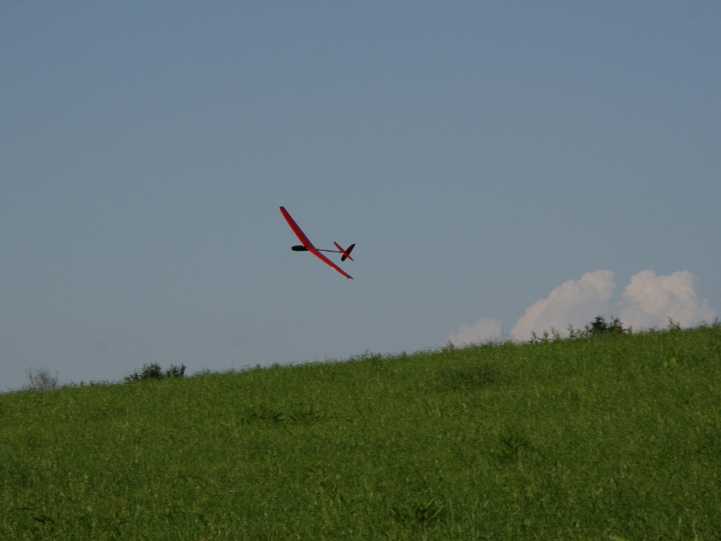 Spinnin Birdy im Flug